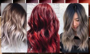 สีย้อมผมเบอริน่า